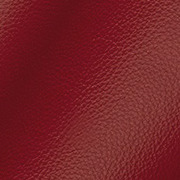 Rot Leder